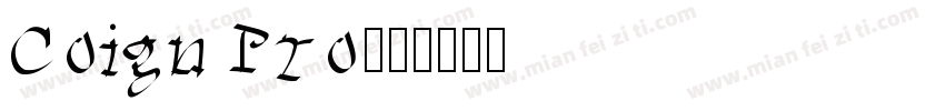 Coign Pro字体转换
